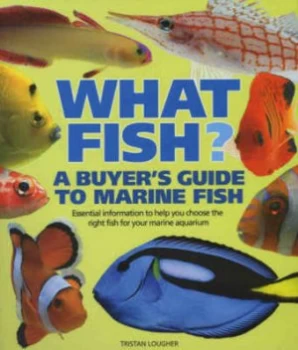 Image of What Fish by Tristan Lougher Paperback