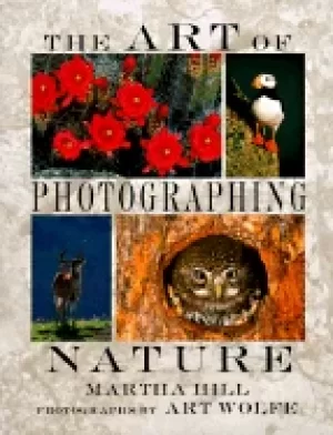 Image of art of photographing nature