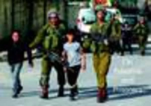 Image of On Palestine and Prisoners by Ayse Berktay Book