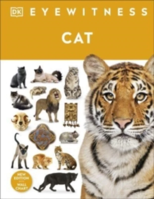 Image of DK Cat Book Multi unisex
