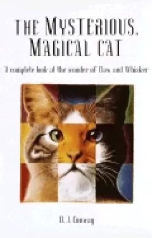 Image of mysterious magical cat