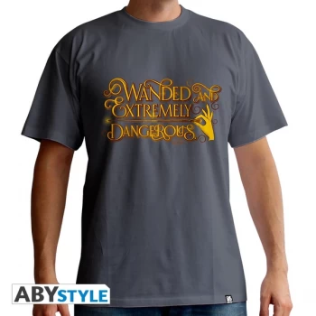 Image of Fantastic Beasts - Wanded* Mens Large T-Shirt - Grey