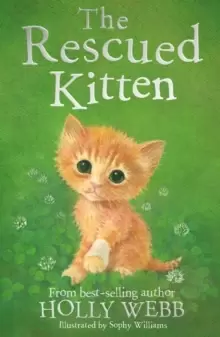 Image of The Rescued Kitten