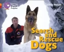 Image of Search and Rescue Dogs : Band 06 Orange/Band 14 Ruby