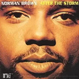 image of After The Storm by Norman Brown CD Album