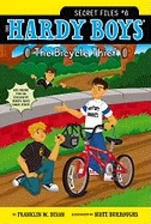 Image of bicycle thief
