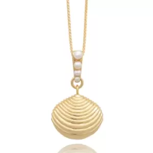 image of Rachel Jackson London Gold Plated Treasured Shell Necklace