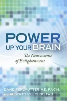 Image of Power Up Your Brain by Alberto Villoldo, PhD