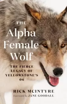Image of The Alpha Female Wolf : The Fierce Legacy of Yellowstone's 06