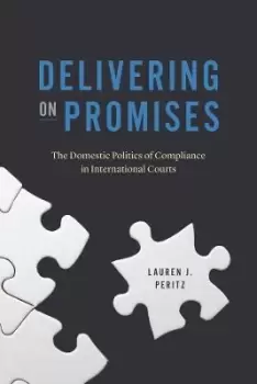 Image of Delivering on Promises by Lauren J. Peritz