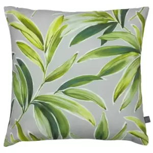 Image of Ventura Cushion Cactus
