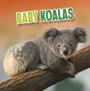 Image of Baby koalas - Martha E. H. Rustad - Paperback - Used