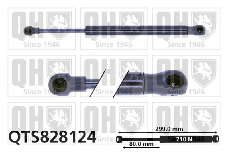 Image of QUINTON HAZELL Tailgate strut QUINTON HAZELL QTS828124