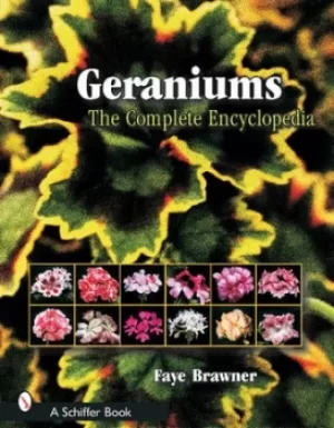Image of Geraniums by Faye Brawner