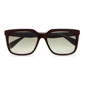 Image of Ted Baker 110 Sunglasses - Brown