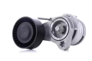 Image of INA Tensioner Lever, v-ribbed belt BMW 534 0252 10 11287530314,11288624196,7530314 8624196,11287530314,11288624196,7530314,8624196