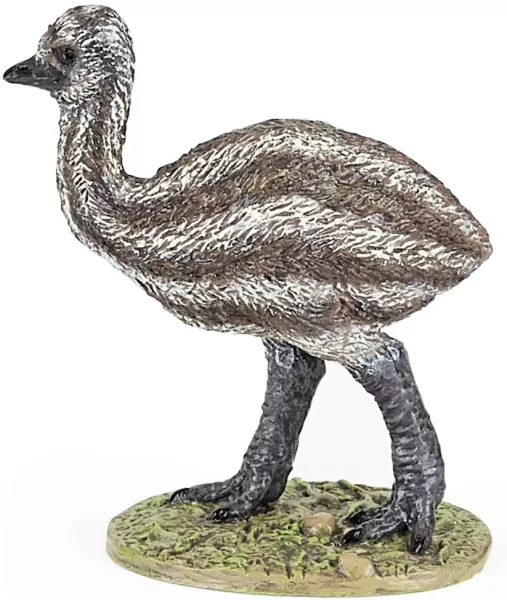 Image of Baby Emu