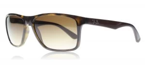 Image of Ray-Ban RB4234 Sunglasses Tortoise / Brown 620513 58mm