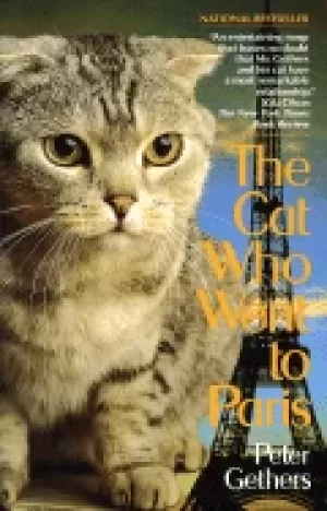 Image of cat who went to paris