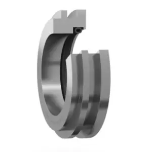 Image of SKF Ring Seal TS 36, 160mm ID