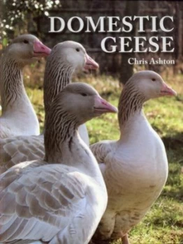 Image of Domestic Geese by Chris Ashton Paperback