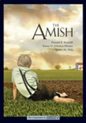 Image of The Amish by Donald B. Kraybill