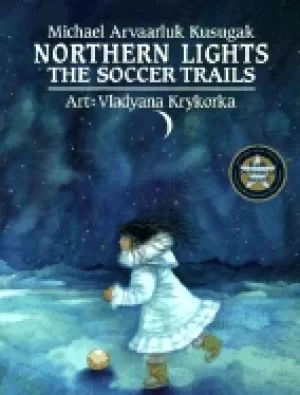 Image of northern lights the soccer trails