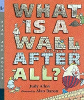Image of What Is a Wall After All by Judy Allen and Alan Baron Book