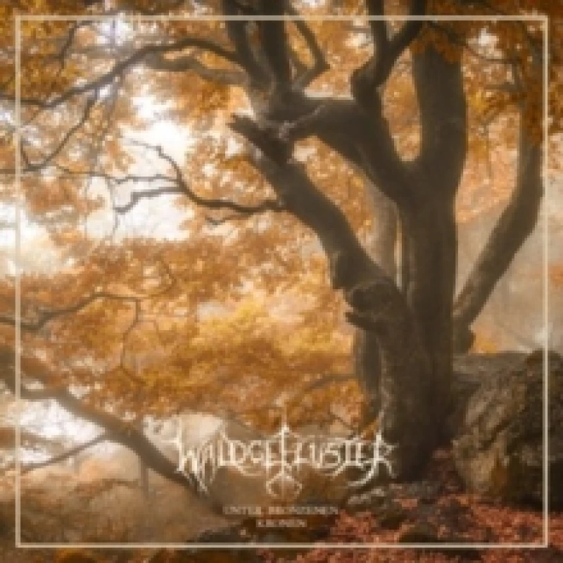 Image of Unter Bronzenen Kronen CD / Album Digipak