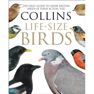 Image of Collins Life-Size Birds : The Only Guide to Show British Birds at Their Actual Size