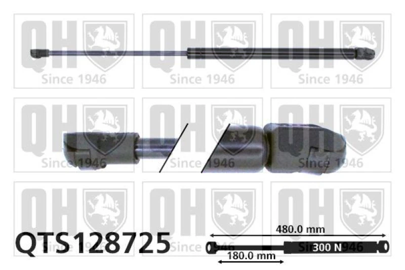 Image of QUINTON HAZELL Bonnet strut QUINTON HAZELL QTS128725