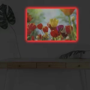 Image of 4570DHDACT-078 Multicolor Decorative LED Lighted Canvas Painting