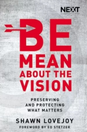 Image of Be Mean About the Vision by Shawn Lovejoy