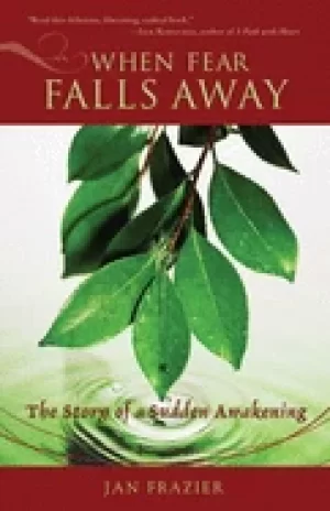 Image of when fear falls away the story of a sudden awakening
