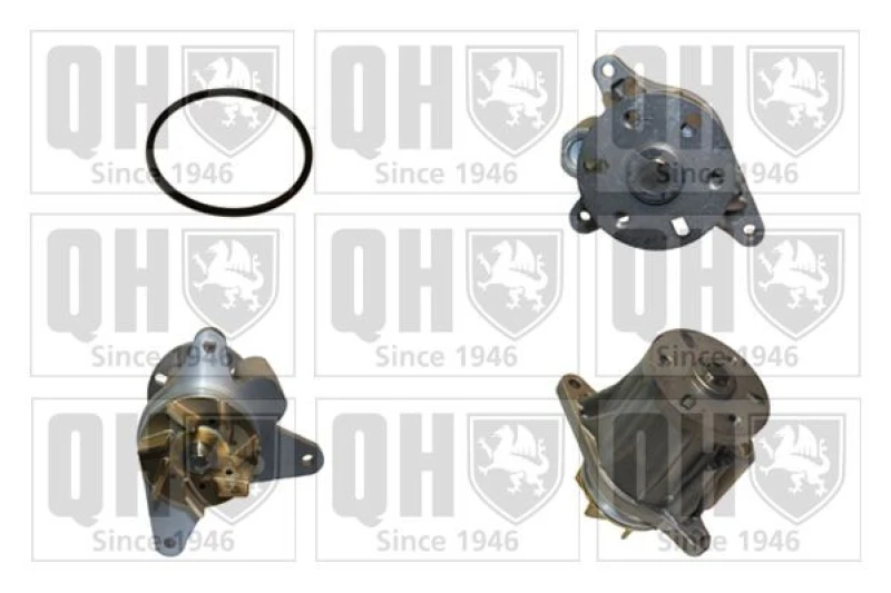 Image of QUINTON HAZELL Water pump QUINTON HAZELL QCP3786