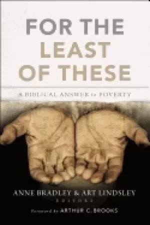 Image of for the least of these a biblical answer to poverty