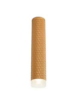 image of 1 Light 30cm Surface Mounted Ceiling GU10, Champagne Gold, Acrylic Ring