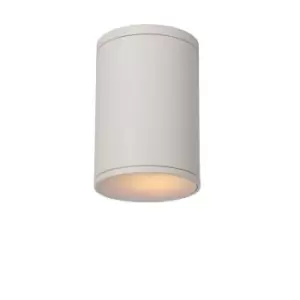 Image of Lucide Tubix Modern Surface Mounted Ceiling Spotlight Outdoor 108cm 1xE27 IP54 White
