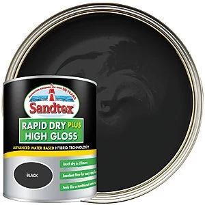 Image of Sandtex Rapid Dry Plus High Gloss Paint - Black 750ml