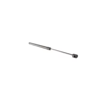 Image of RIDEX Tailgate strut RENAULT 219G0947 7700828454
