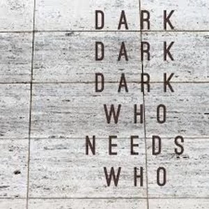 Image of Dark Dark Dark - Who Needs Who Vinyl