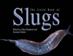 Image of Little Book of Slugs by Allan Shepherd Paperback