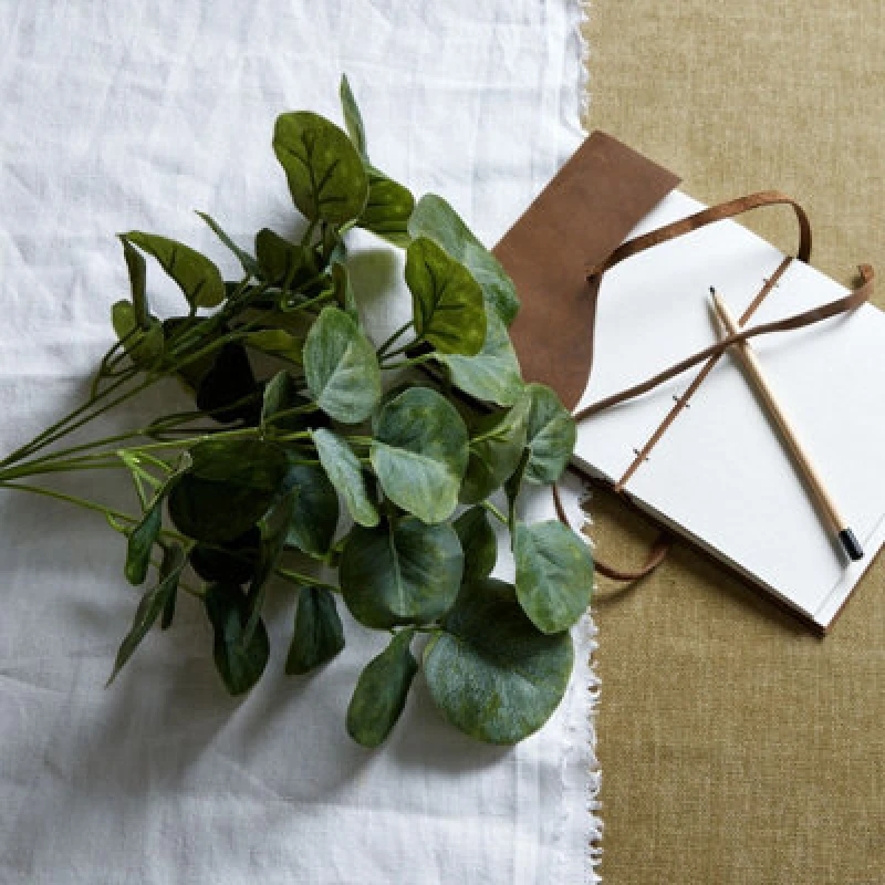 Image of Short Eucalyptus Bunch