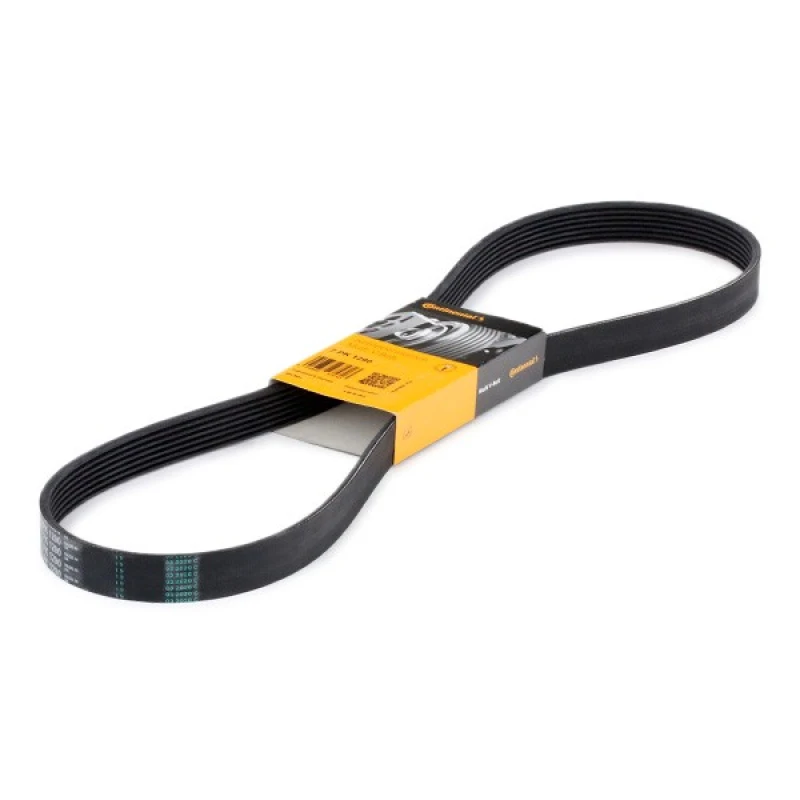 Image of CONTITECH 7PK1290 V-ribbed belt V-Ribbed Belts (305)