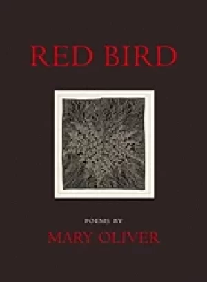 Image of red bird poems