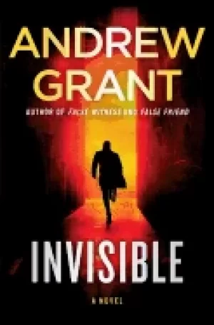 Image of invisible a novel