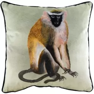 Image of Evans Lichfield Kiable Monkey Cushion Cover (One Size) (Multicoloured)