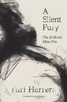 Image of A Silent Fury : The El Bordo Mine Fire
