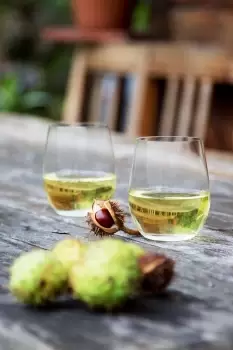 Image of Riedel O Wine Tumbler Viognier/Chardonnay, Set Of 2
