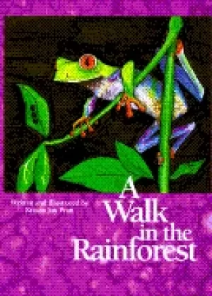 Image of walk in the rainforest